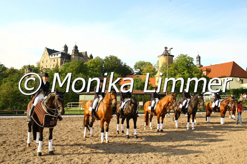 109M7187_Intermediaire I_DressS.JPG